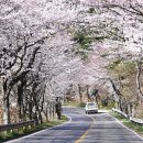 불회사 티스토리