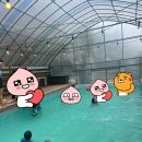 소풍갈래 | 💦 오산 물놀이 찾다가 다녀온 소풍동물원 후기!