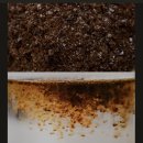 나무사이로 | [선물] 반짝이는 커피 알갱이에 반하다! ☕️ 나무사이로 '몽상스' 파우더 커피 선물 후기 ✨