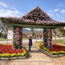 황산공원 캠핑장 3번 이미지