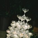 강산 | 식물관ph 웨딩 후기 본식스냅 강산픽