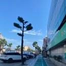 가로수민박 이미지