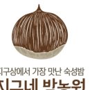 은재농원 이미지