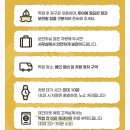 세부 호핑투어 추천! 골드호핑 내돈내산 솔직 후기 가격, 준비물, 꿀팁까지