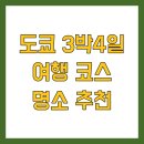 5세대 이동통신 그리고 48시간 | 도쿄 3박4일 여행 코스 명소 추천