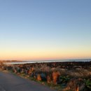 광어다서귀포표선본점 이미지