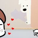 제이웨일 이미지