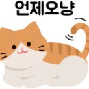 키하이코어