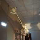 영명농장 | 2023. 10. 01. 타이베이시립동물원 방문기 ①