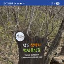 984차 순천 천년 불심길 이미지