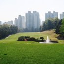 뉴코리아 이미지