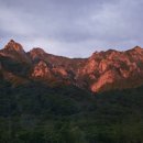 삼호옥이네 이미지