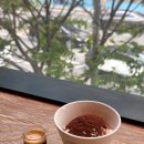 합정 투썸플레이스 카페 M포인트 할인받고 이용하는 방법 아포카토 맛 칼로리