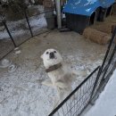 전원식육식당 | [광주 맛집] 명화 식육식당