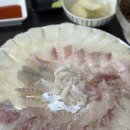 내송로 | 양산 사송 횟집 추천 막썰어횟집 모둠회 솔직후기 내돈내산