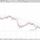 엠디트레이딩(주) 이미지