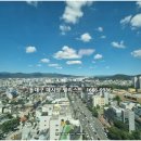 로얄수족관(이마트만촌점) | 대구 수성구 인접! 프리미엄 대형 아파트 더팰리스트데시앙 현장 방문 후기