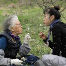 봄날처럼민박 이미지