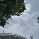 고대장고기식단