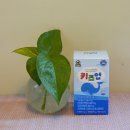 그로업 키즈 | 우리 아이 성장 골든타임! 그로위즈랩스키즈업으로 건강하게 키워요