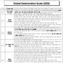 GDS 이미지