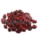 경희명인당한의원 이미지