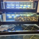 부평맑은내어린이집 | 부평보양식 완도 활전복이 통째로! 국물이 끝내주는 해목정 부평점 솔직후기