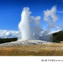 OLD FAITHFUL GEYSER 이미지