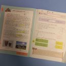 해송초등학교(좌2동)