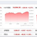 에스와이파트너스