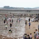 황토갯벌랜드3 이미지