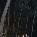 문탠로드 이미지