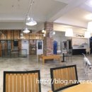 도그파우 이미지