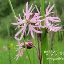 오늘은 음표 이미지