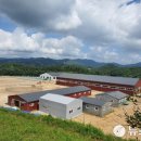 중원대학교 공공승마장 이미지