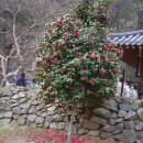 용문정 앞 이미지