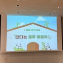 에버랜드 판다 아카데미 [동물 아카데미 : 판다는 곰이 맞을까?] 체험 후기