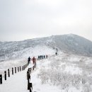 여행스케치 부부산악회 덕유산 설경과 눈꽃산행 이미지