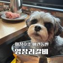 파주 맛집 - 마장호수 생돼지갈비, 김치찌개, 솥밥 맛집 애견동반 가능, 주차