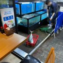 대광어회집 이미지