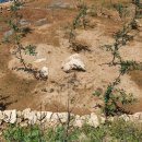 신세기공인중개사사무소 이미지