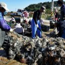 풍년꽃게 이미지