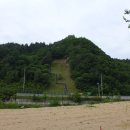 진부초등학교 이미지