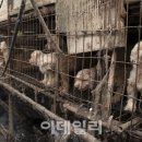 낙동강변17 이미지