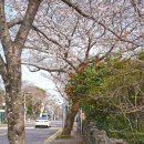 호근서호로 이미지