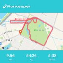 서울체육고등학교 정문 | 요놈의 러닝 챌린지 / 2022 올림픽데이런 10km 러닝 코스 후기