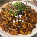 서초 불쭈꾸미 | 스트레스 받으셨나요? 맛있게 매운 서초역 불쭈꾸미 방문 추천
