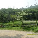 점말농장 이미지