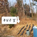 농자지천하지대본 이미지