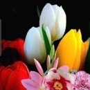 빛 살 -울림 이미지